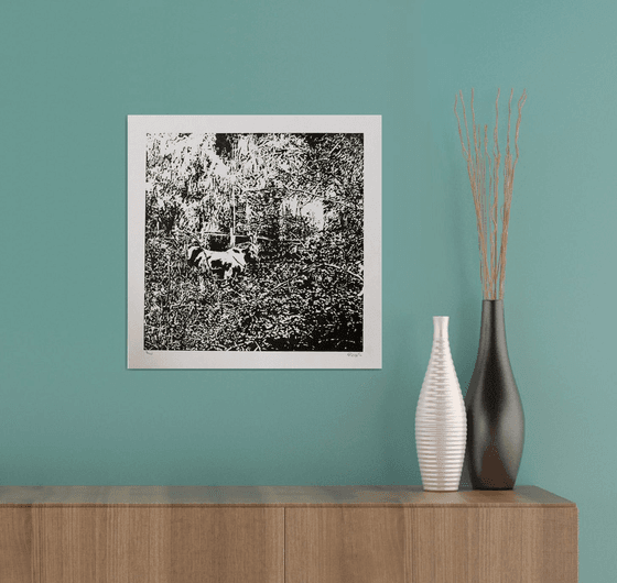 Forest Edge