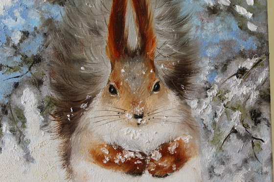 Red Squirrel in Snow