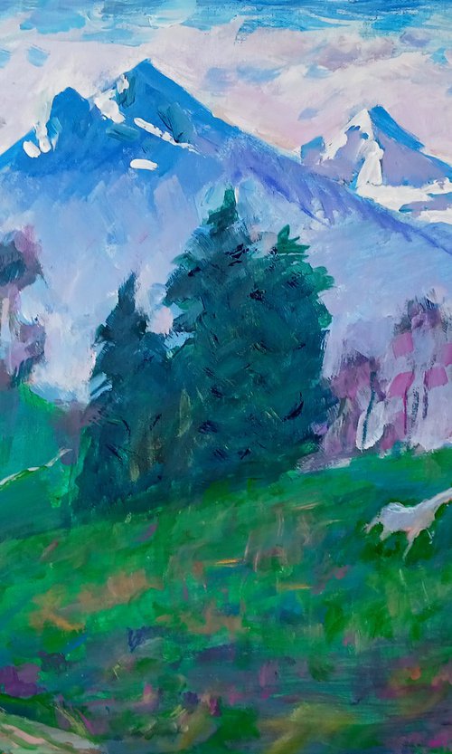 Alpine trail by Oleksandr Bielskyi