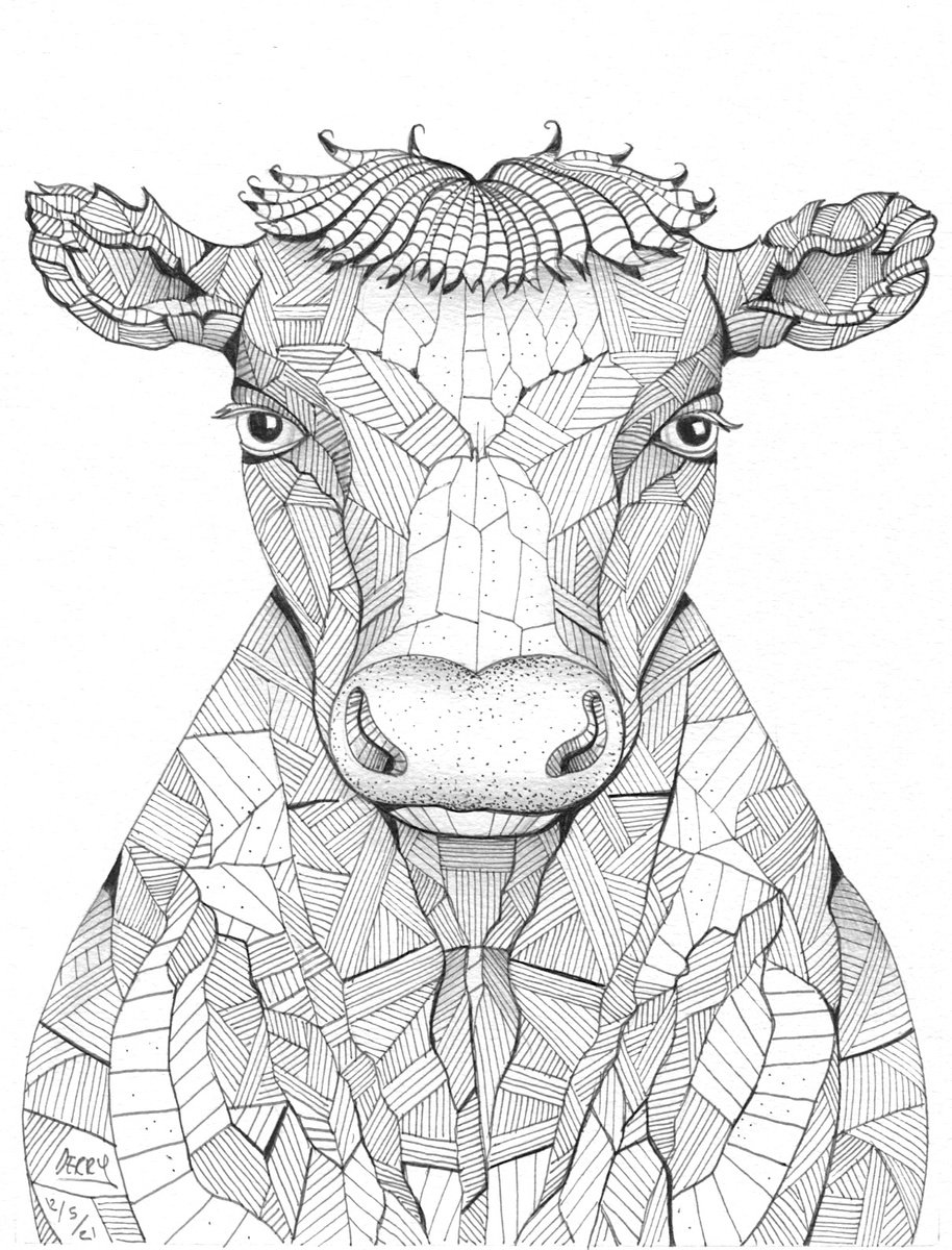 Illustrative Animal Ink Drawing By Spencer John Derry, 8 X 11", Moo, Original Artwork
