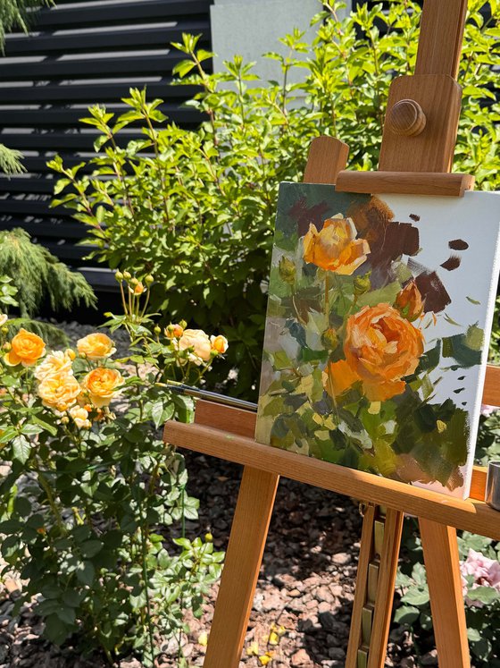 Apricot Roses
