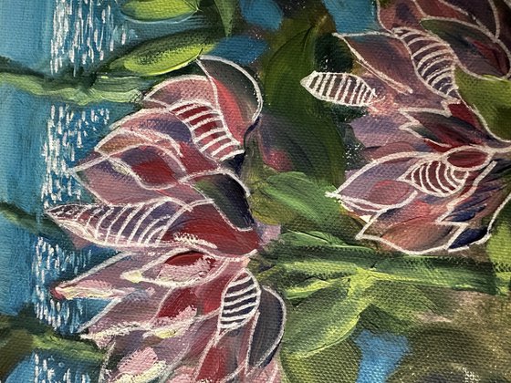 Flowers in December