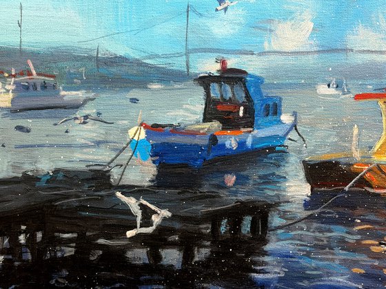 Harbor in Morning Light