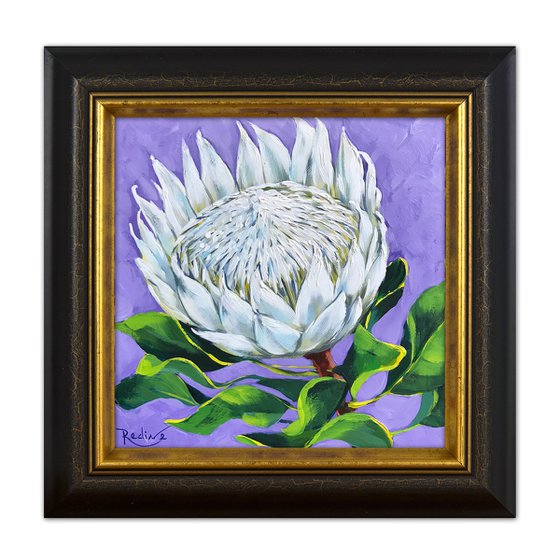 King White Protea – framed original painting