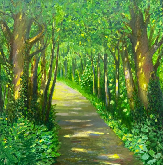 Sunny Forest