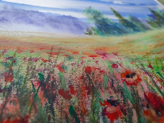 Poppy Field