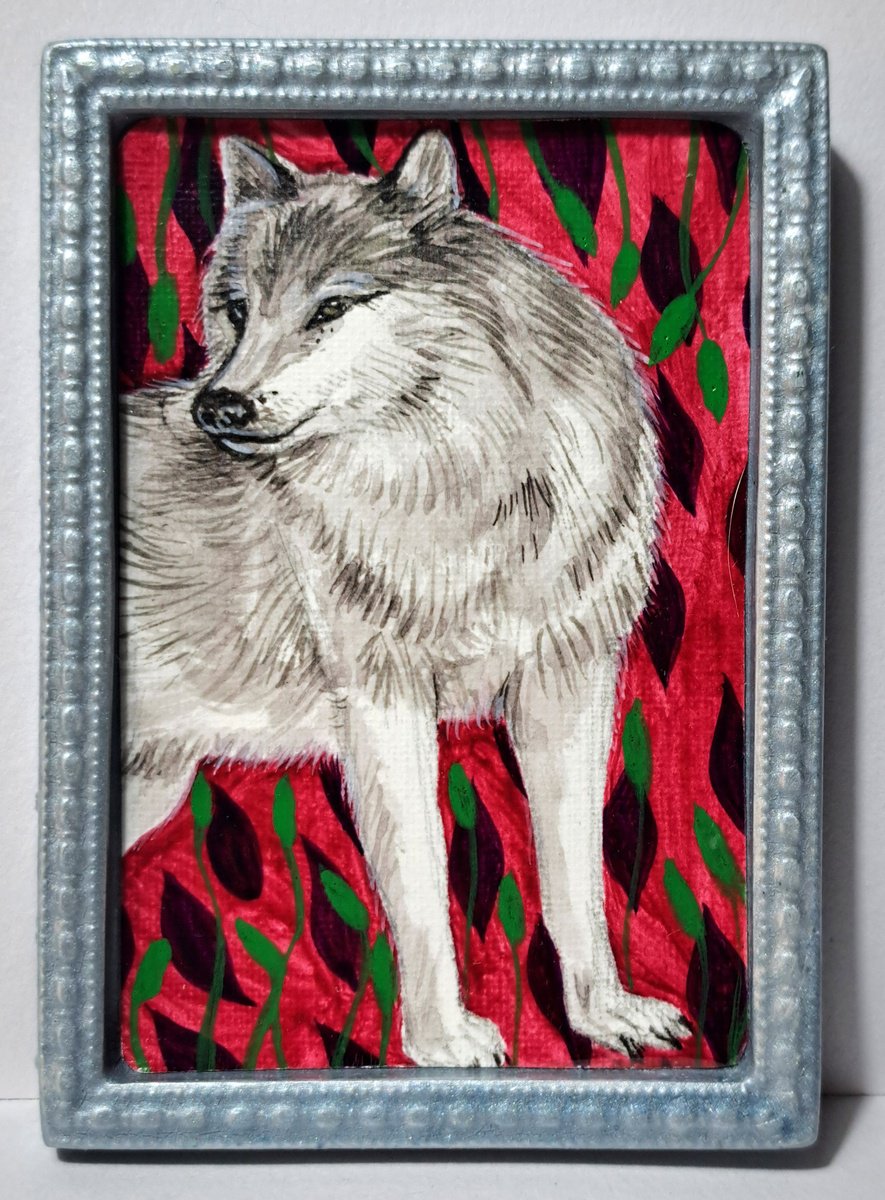 Animal Watercolour By Andromachi Giannopoulou, 4 X 5, Gray Wolf, Original Artwork