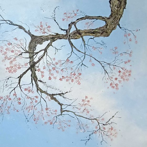 Cherry Blossom Blue