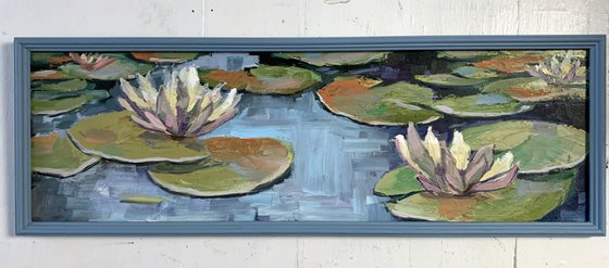Water Lilly pond.