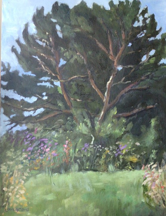 Fir tree at Pegwell