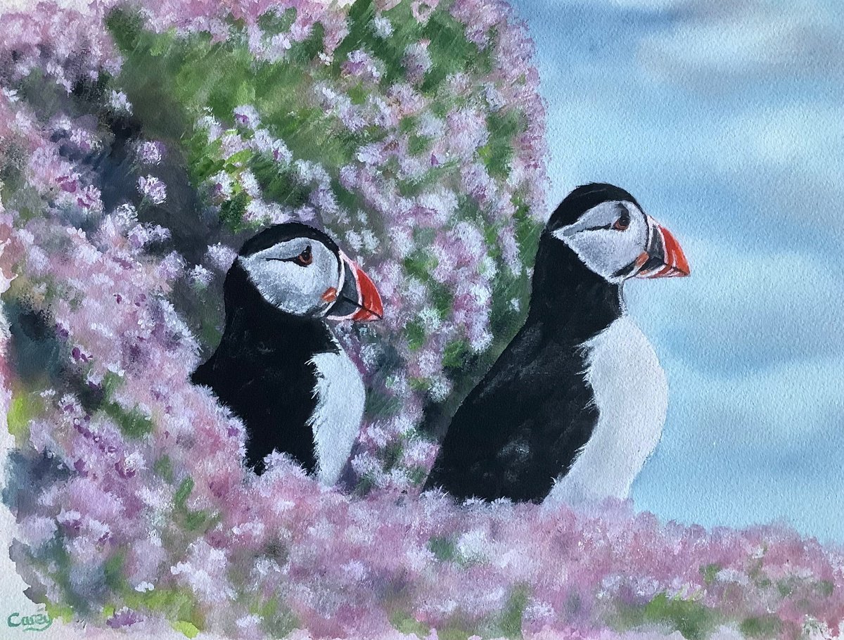 Photorealistic Animal Watercolour By Darren Carey, 15 X 11, Puffins Amongst Sea Thrift, Original Artwork