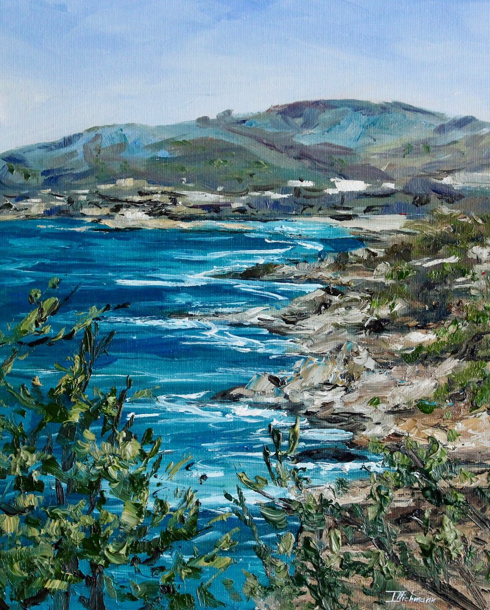 Impressionistic Landscape Oil Painting By Liza Illichmann, 9 X 12", Costa De La Calma, Original Artwork