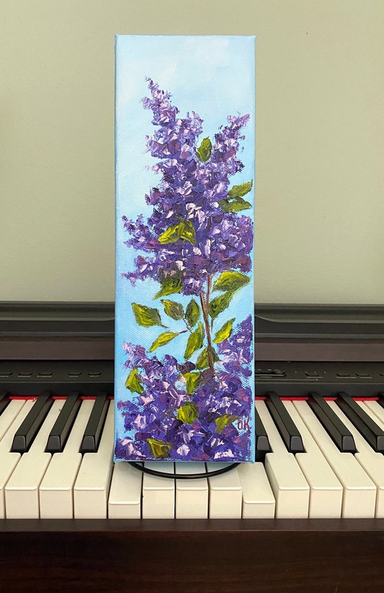 Spring lilac