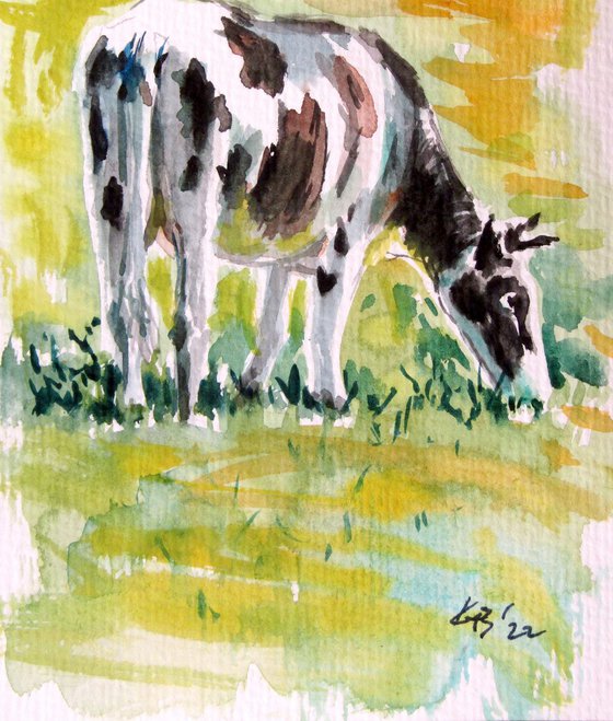 Cow in the meadow