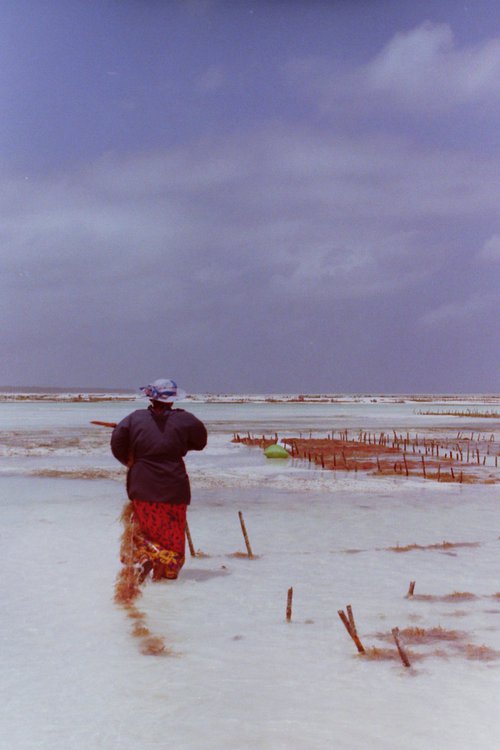 Ocean in Zanzibar by Anna Tuzyuk