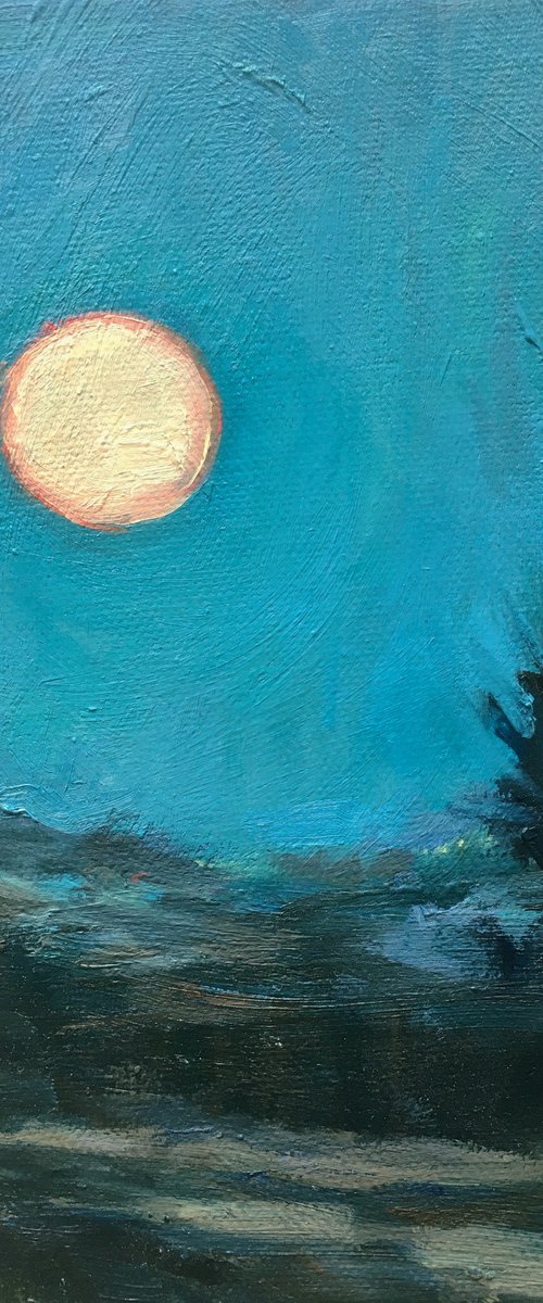 Moonlight over Eastcourt by Sheri Gee