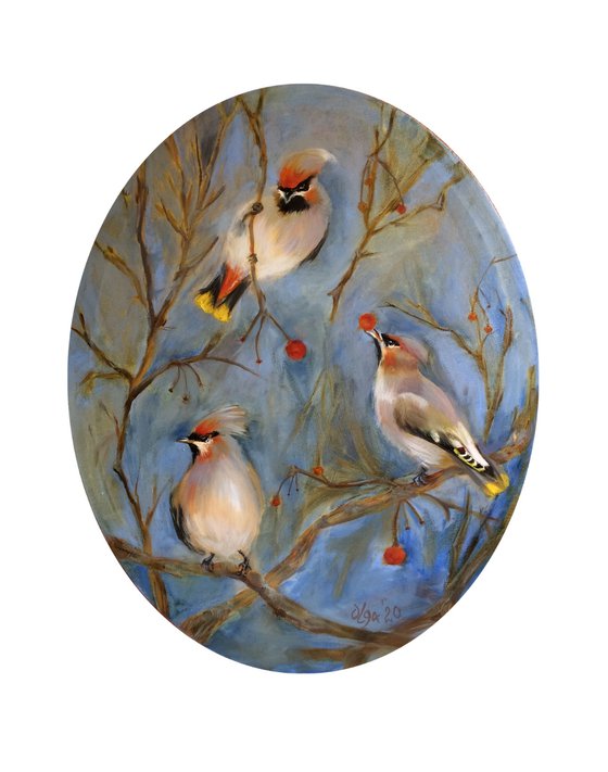 Birds oil painting - Waxwings ellipse canvas - Cozy wall art - Gift idea for bird lover