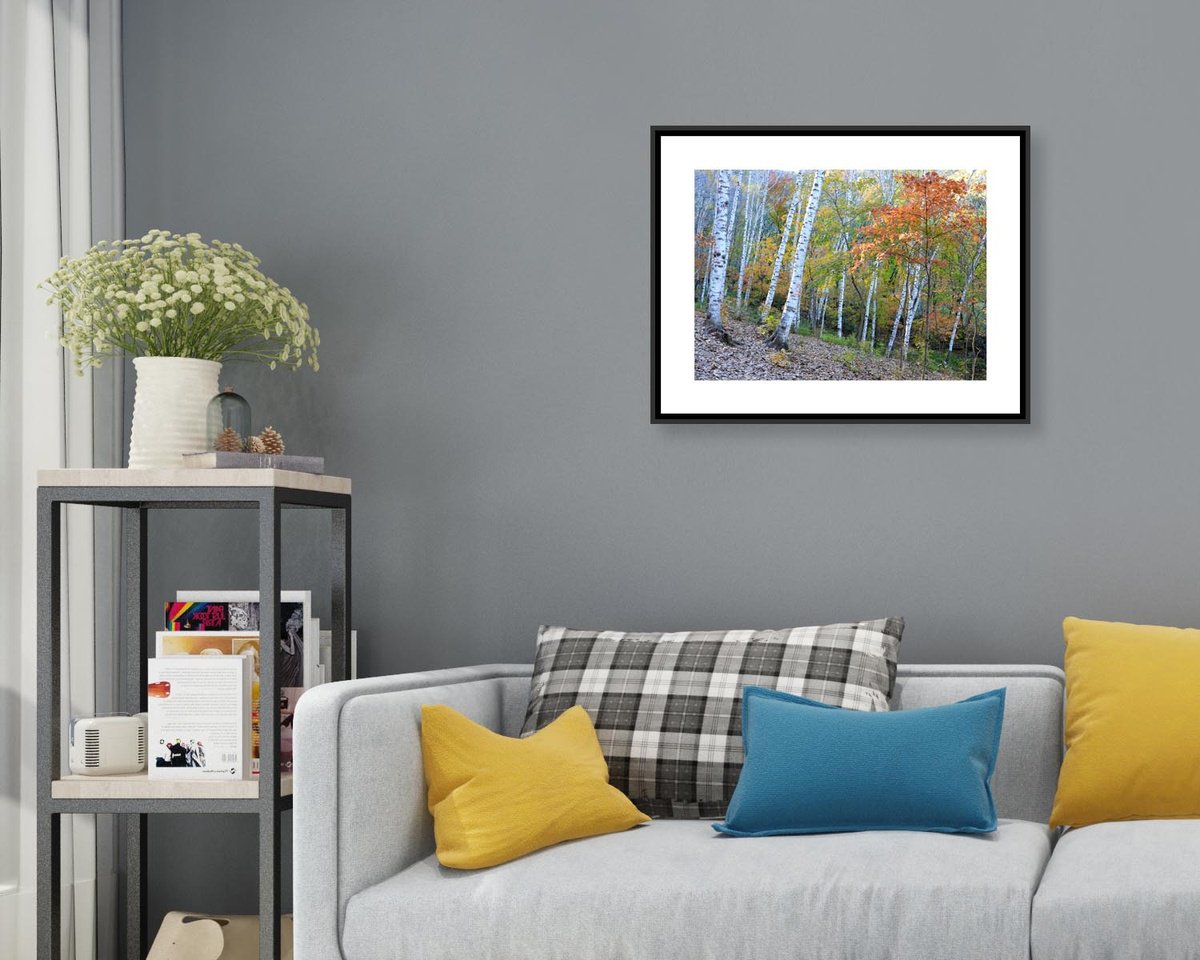 Photorealistic Landscape Photograph By Yuan Hua Jia, 30 X 23", Autumn Colors #5, Original Artwork