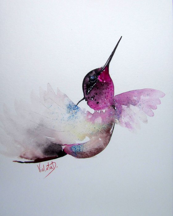 Hummingbird 15