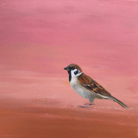 Garden Sparrow on Rose Gold