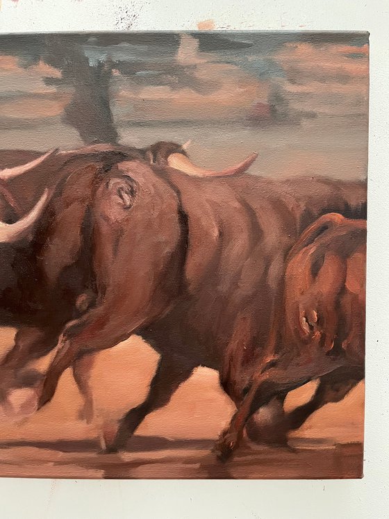 Toros de Dehesa Frias (study 1)