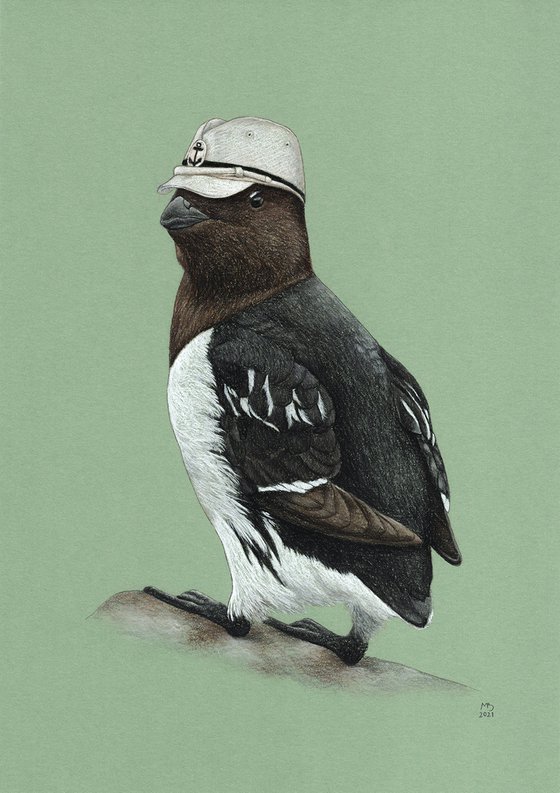 Original pastel drawing bird "Little auk"