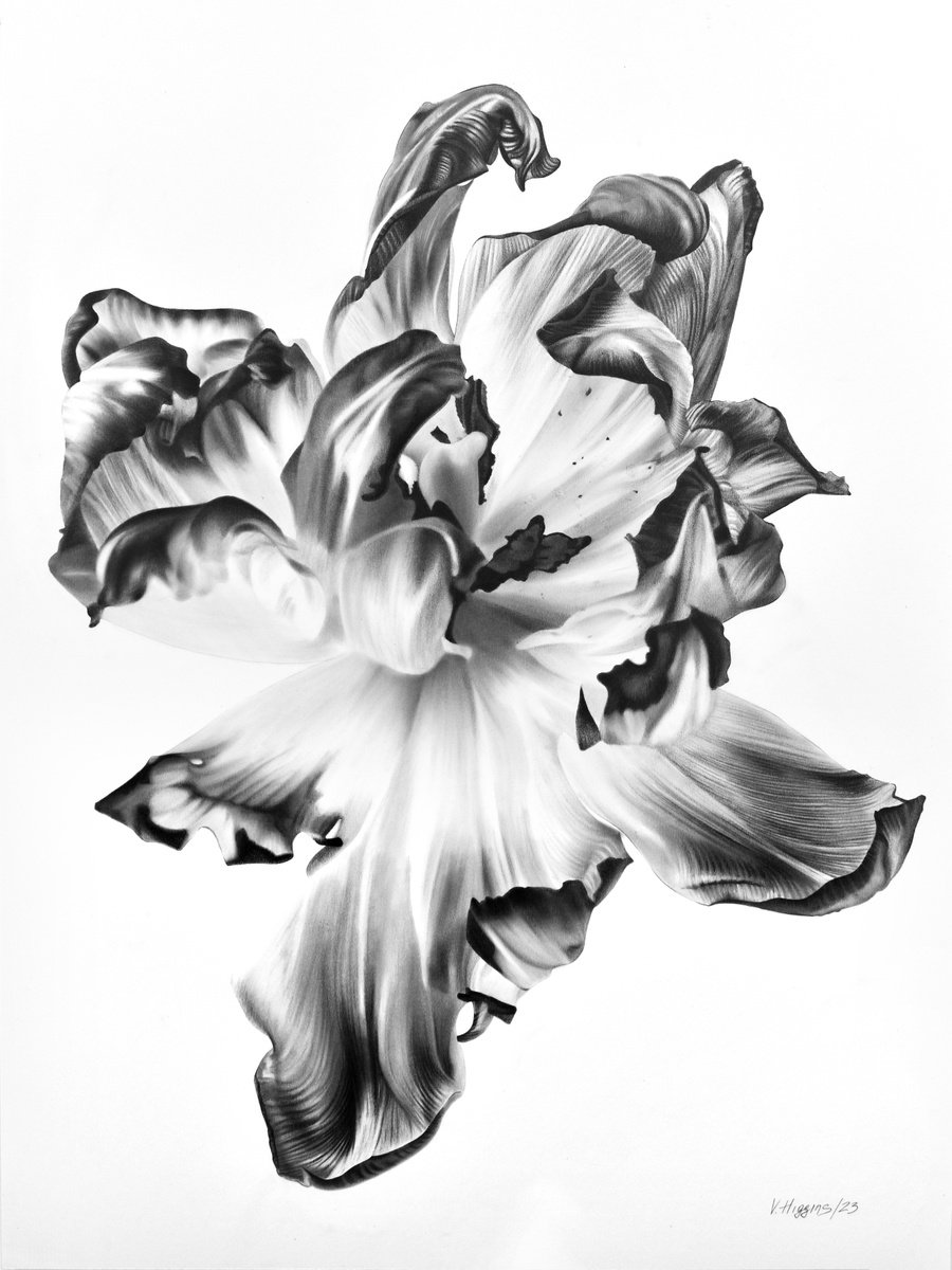 Tulip_2. by Vera Higgins