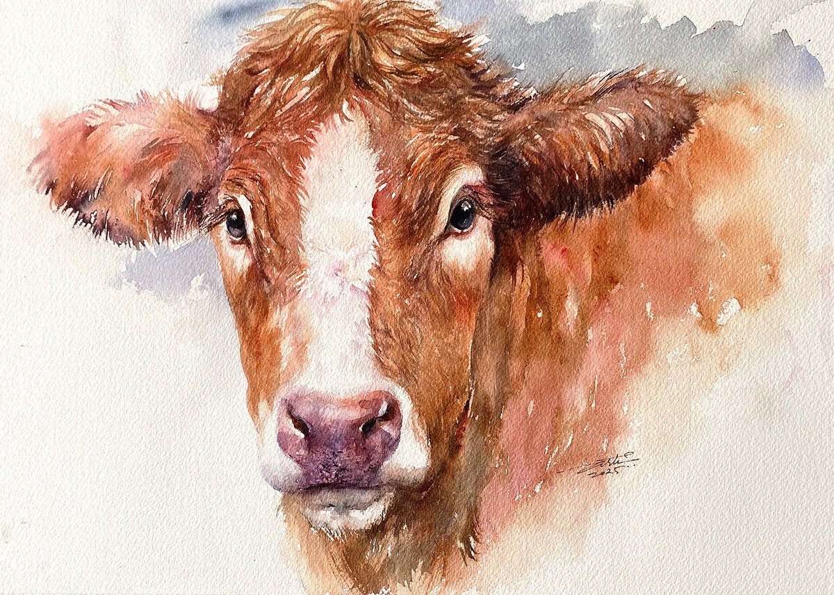Impressionistic Watercolour , Brown Cow_ Midsummer Gaze By Arti Chauhan, 14 X 10, Artwork For Sale On Artfinder
