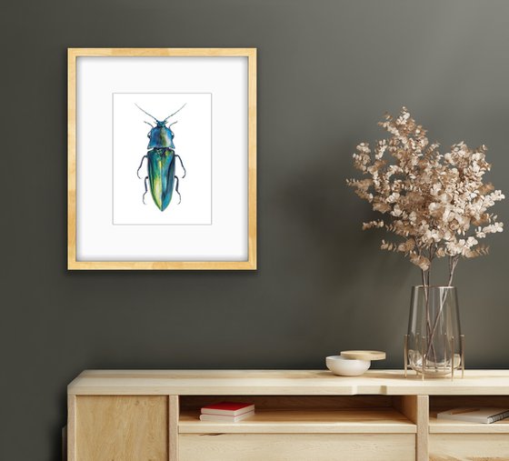 Blue longhorned beetle. Original watercolour artwork.