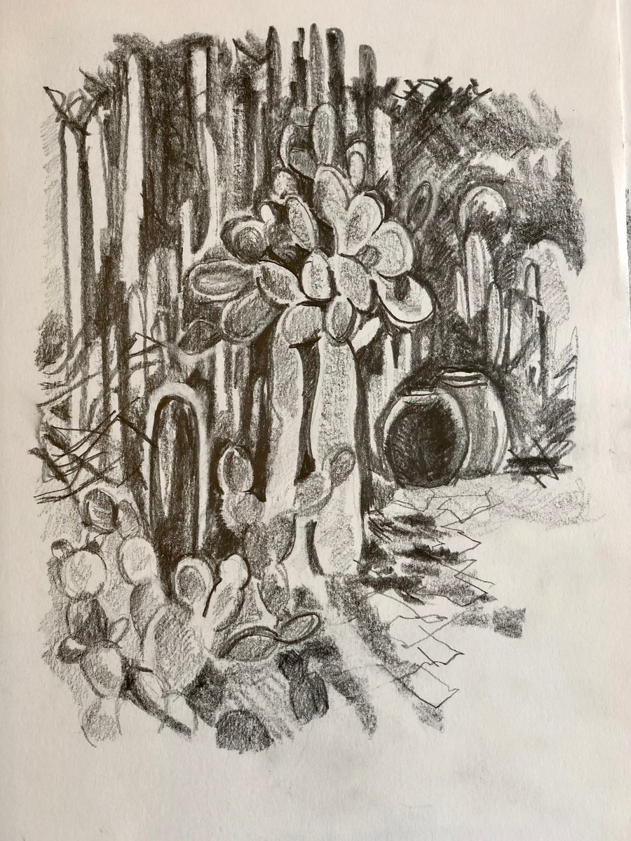 Cactus Garden Sketch 2 by Annie Meier