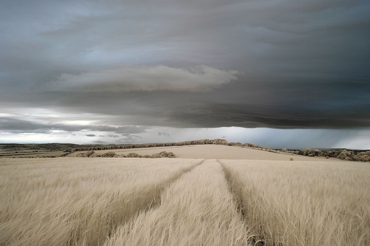 After The Storm, Kithurst Hill by Ed Watts