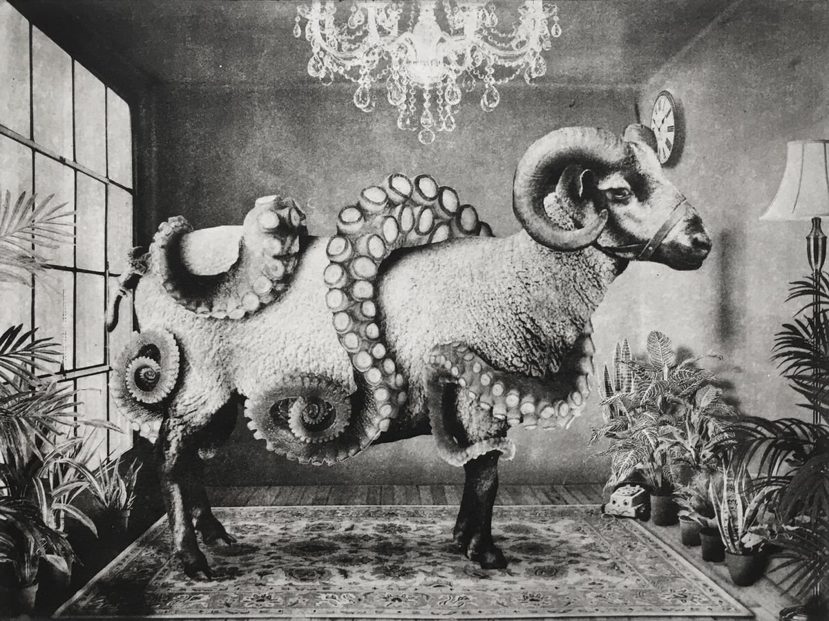 Surrealistic Animal Etchings & Engravings By Jaco Putker, 13 X 10, Interior No.48, Original Artwork