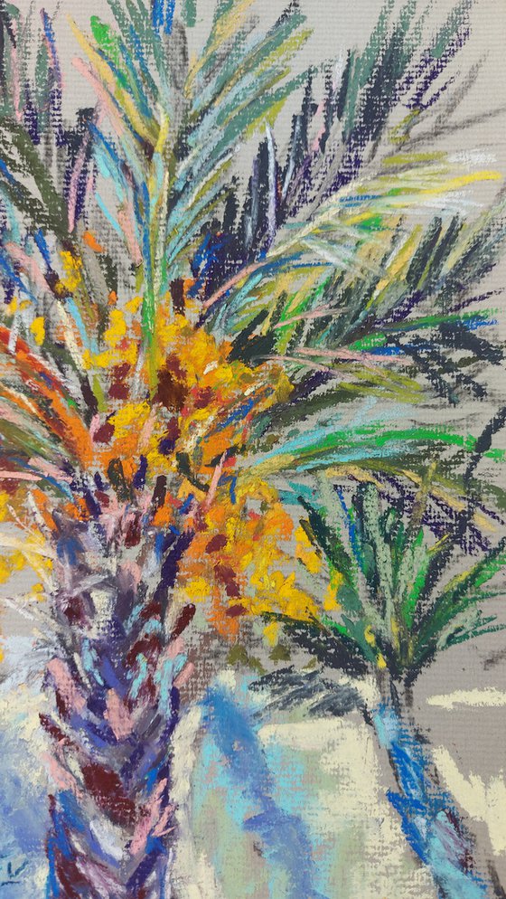 Palm tree sketch