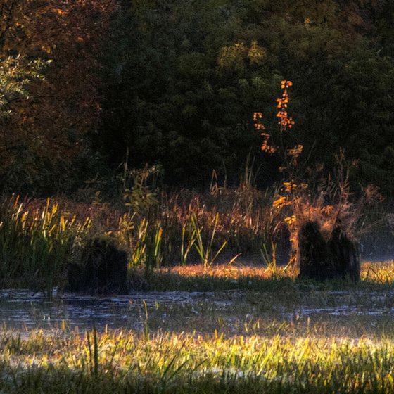 Panoramic Autumn.
