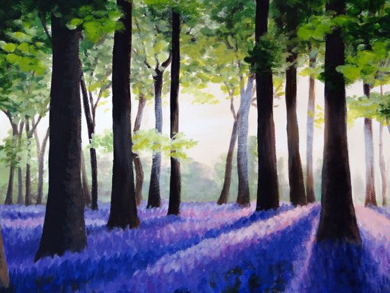 Bluebell Wood