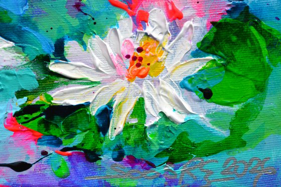 White Water Lilies on the Pond