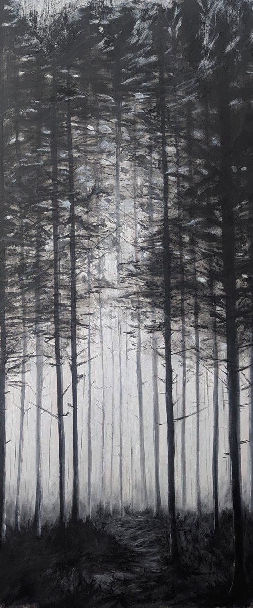 Beyond by Sophie Adair