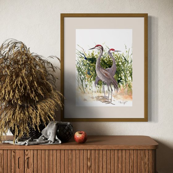 Sandhill Cranes