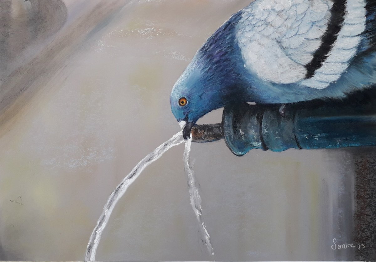 A SIP OF WATER by Semire Akyaz?