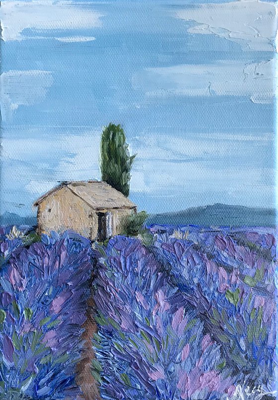 Provence Lavender field 100%Original Oil Painting