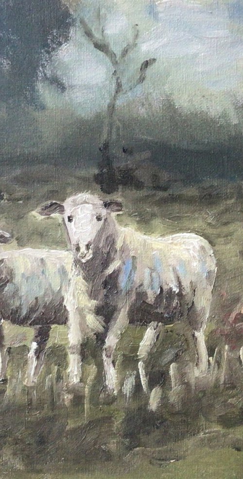 Sheep oil painting by Julian Lovegrove Art