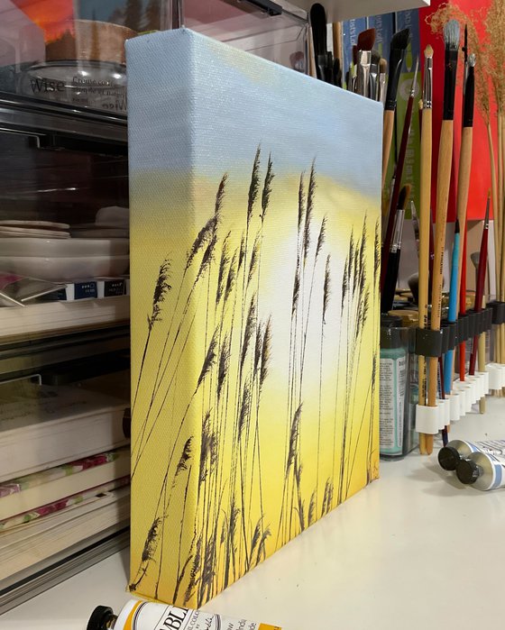 Seagrass on a Sunrise