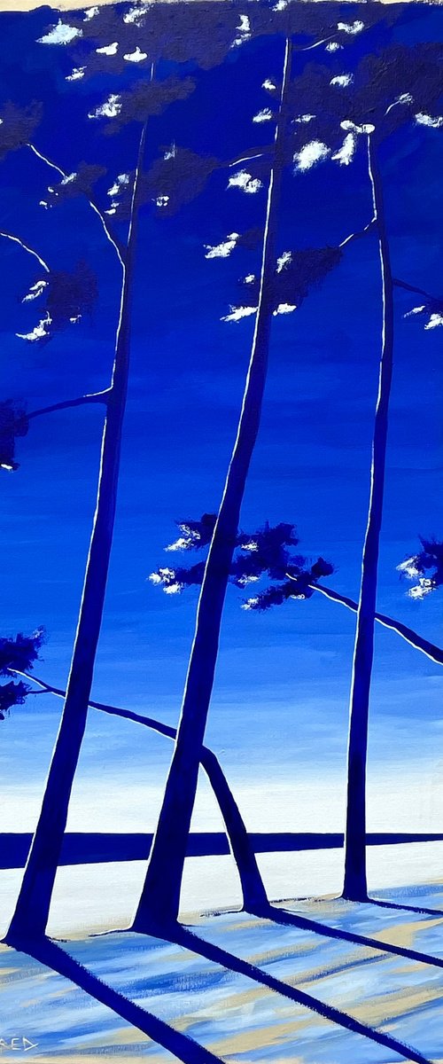 Cap Coz ultramarine 100x50 by Cadiou Frederic
