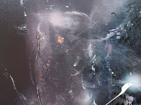 Nocturnal Calligraphy and Traces on Snow