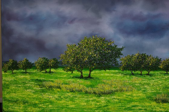 Storm Approaching