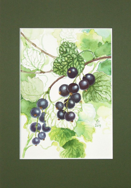 Deep in the garden - blackcurrant * free shipping *