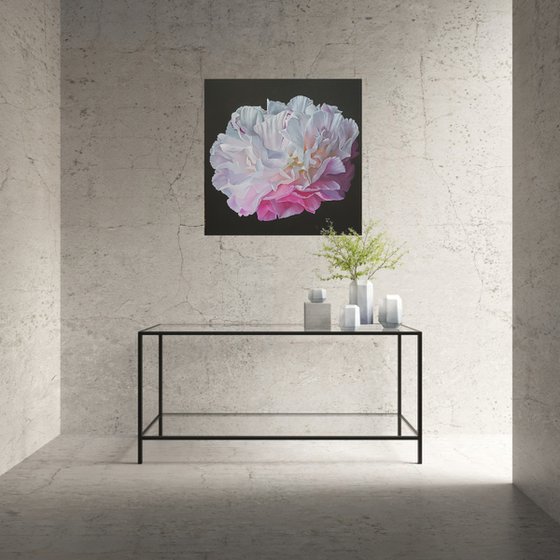 Passion for Peonies