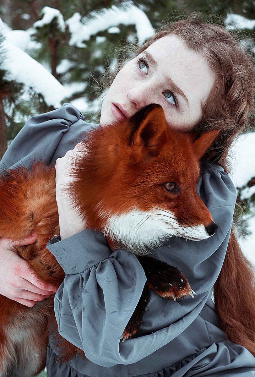 Foxes by Alexandra Bochkareva