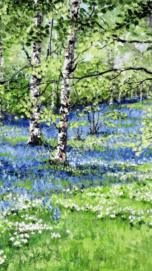 Bluebells and Wood Anemones in Birchwood by Max Aitken