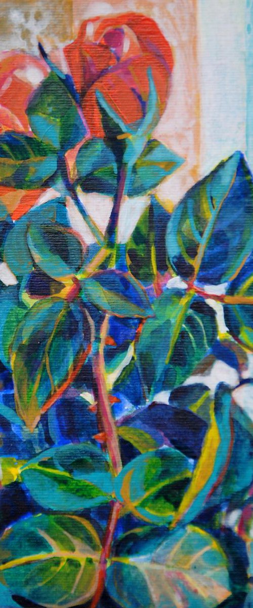 Roses / 12.5 x 17.8 cm by Maja Đokić Mihajlović